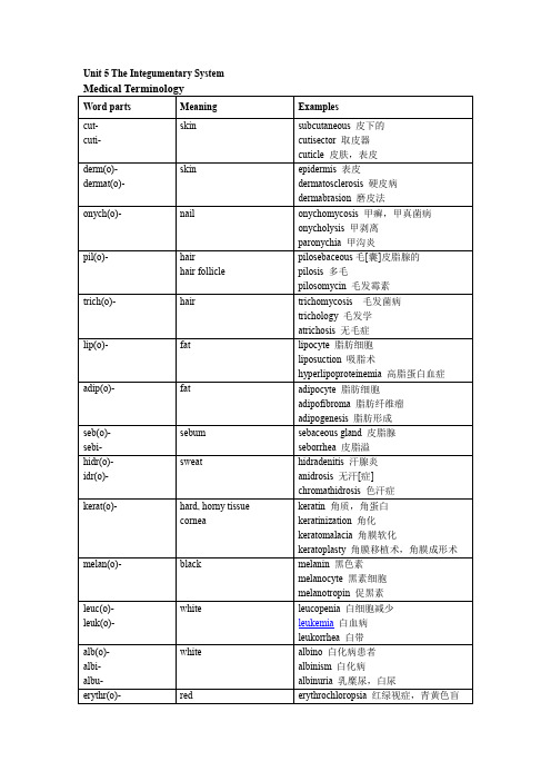 医学英语大三册下Unit 5 The Integumentary System