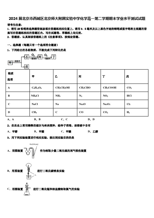 2024届北京市西城区北京师大附属实验中学化学高一第二学期期末学业水平测试试题含解析