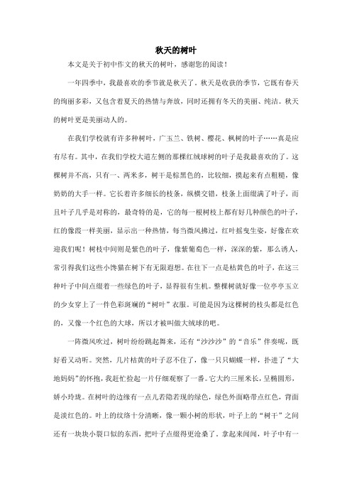 秋天的树叶_初中作文_2