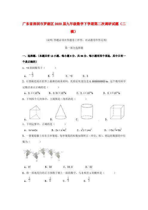 2020年深圳市罗湖区届九年级数学下学期二模