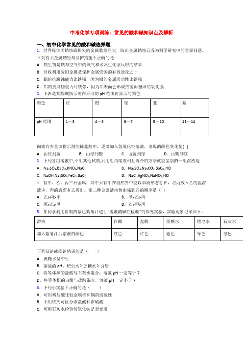 中考化学专项训练：常见的酸和碱知识点及解析