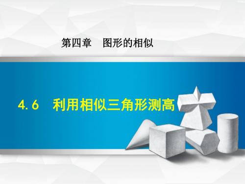 北师大版九年级数学上册4.6 利用相似三角形测高(课件)【新版】