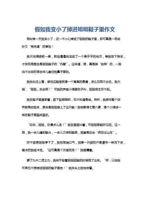 假如我变小了掉进姐姐鞋子里作文