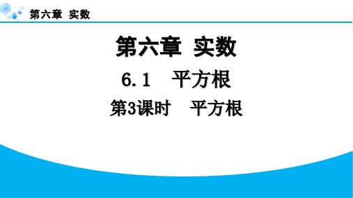 2024年第六章第3课时平方根课堂练习题及答案