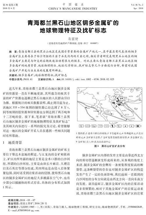 青海都兰黑石山地区铜多金属矿的地球物理特征及找矿标志