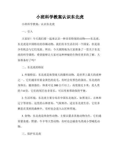 小班科学教案认识东北虎