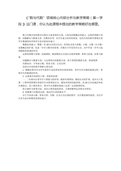 “数与代数”领域核心内容分析与教学策略(第一学段)