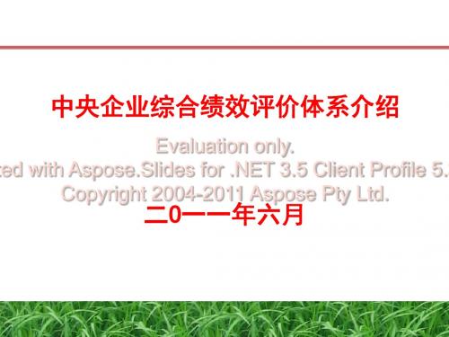 中央企业综合绩写葱搂评价体系介绍.ppt