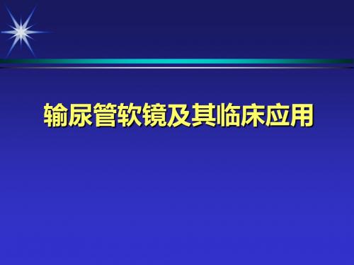 输尿管软镜及其应用ppt课件