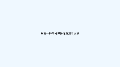 观察一种动物课件详解演示文稿