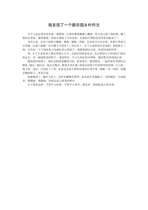 我发现了一个新乐园乡村作文