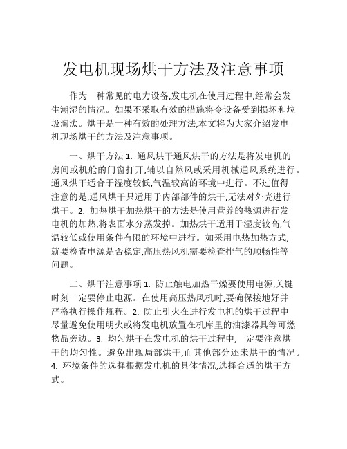 发电机现场烘干方法及注意事项