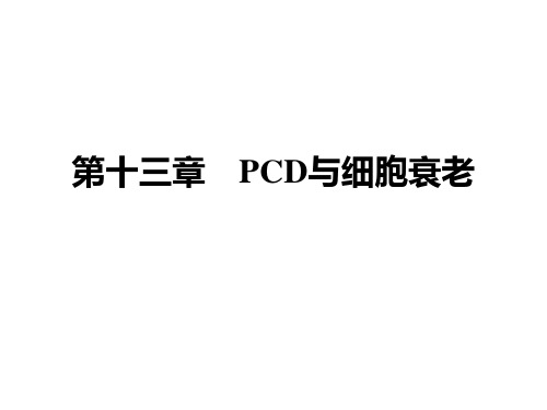 细胞生物学第十六章 PCD与细胞