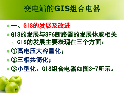 电气故障诊断课件GIS第十节