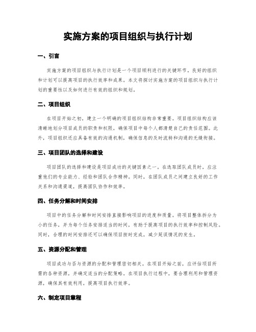 实施方案的项目组织与执行计划