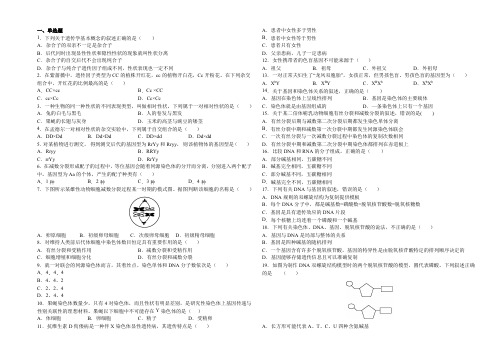 遗传与进化期末复习-高一下学期生物人教版必修2 (1)