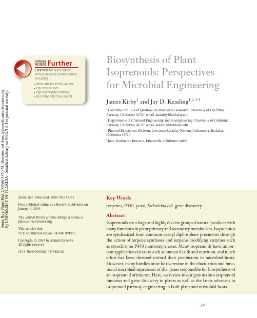 Biosynthesis of Plant