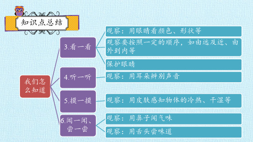 一年级上册科学课件第二单元我们怎么知道复习课件青岛版六年制共21张PPT