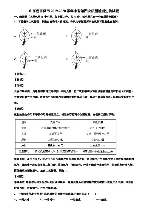 山东省东营市2019-2020学年中考第四次质量检测生物试题含解析