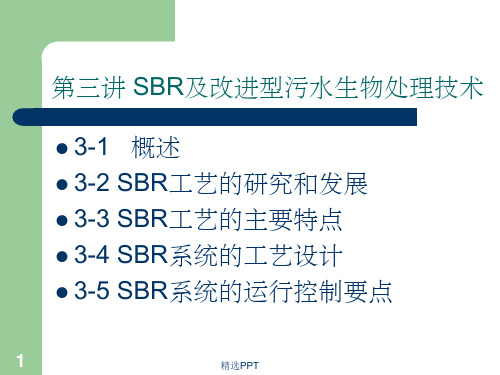 《SBR工艺》PPT课件