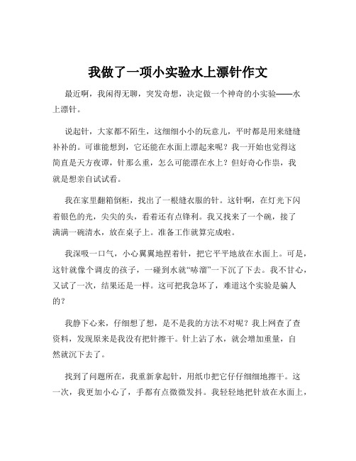 我做了一项小实验水上漂针作文