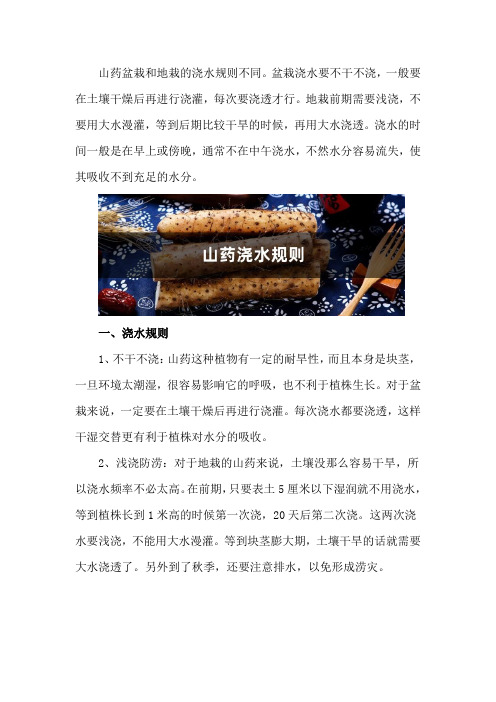 山药浇水规则,山药浇水什么时候是关键