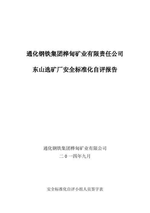 选矿厂安全生产标准化自评报告