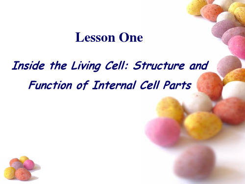 生物专业英语 lesson 1 inside the living cell(课堂PPT)