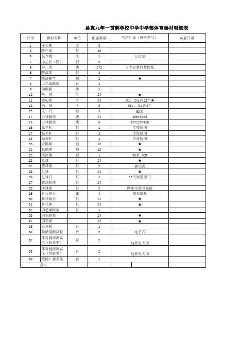 体育器材明细表Excel 工作表