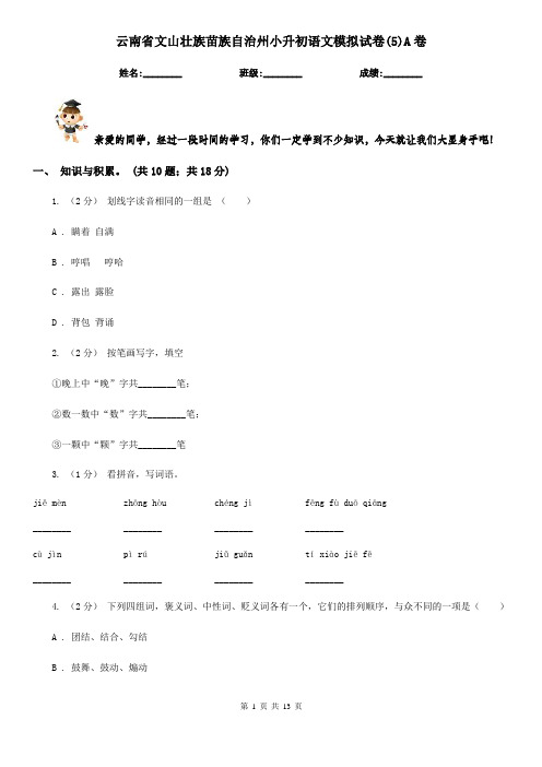 云南省文山壮族苗族自治州小升初语文模拟试卷(5)A卷