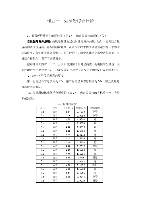 烃源岩综合评价