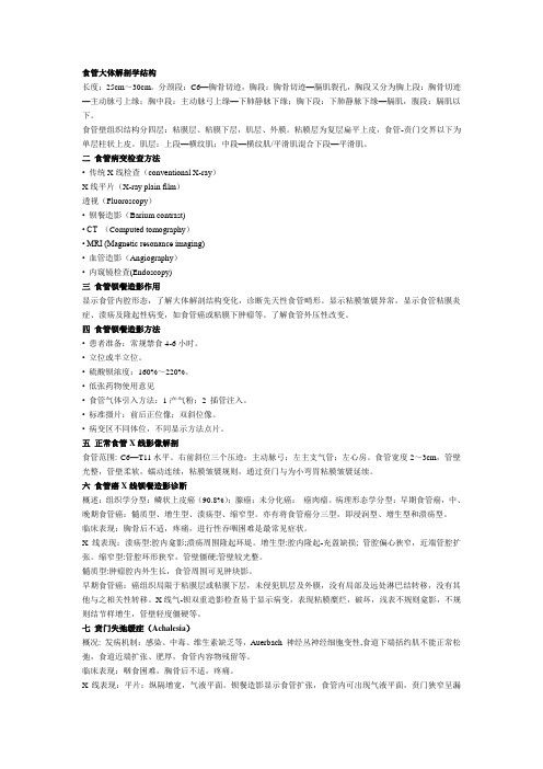 食管大体解剖学结构