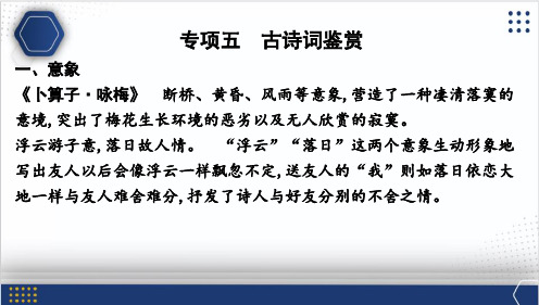 期末复习专项五 古诗词鉴赏课件- 2023-2024学年统编版语文八年级下册