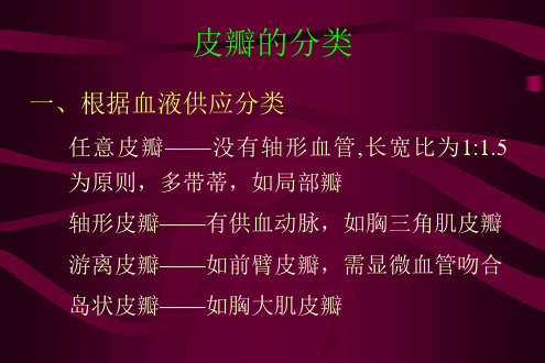 皮瓣讲课幻灯
