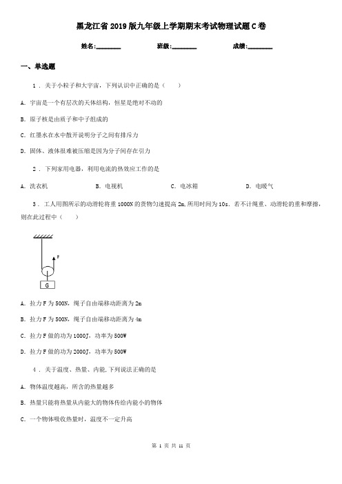 黑龙江省2019版九年级上学期期末考试物理试题C卷