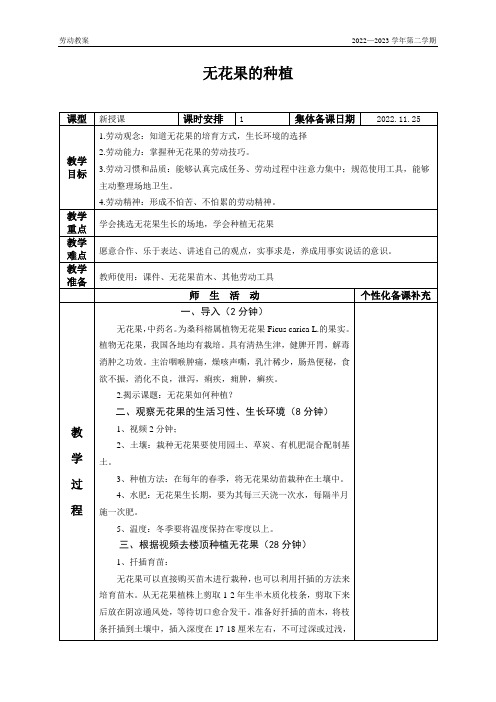 劳动课教案种植无花果