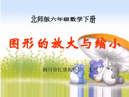六年级数学下册《图形的放大与缩小 》PPT课件之十一(苏教版)