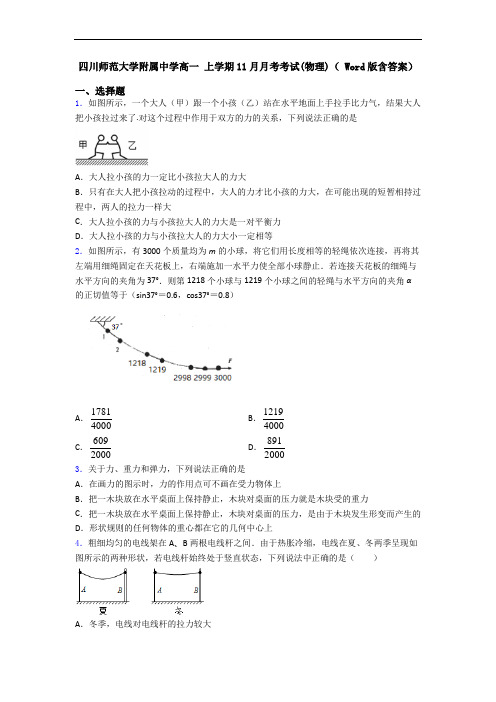 四川师范大学附属中学高一 上学期11月月考考试(物理)( Word版含答案)