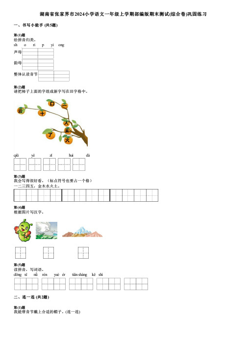 湖南省张家界市2024小学语文一年级上学期部编版期末测试(综合卷)巩固练习