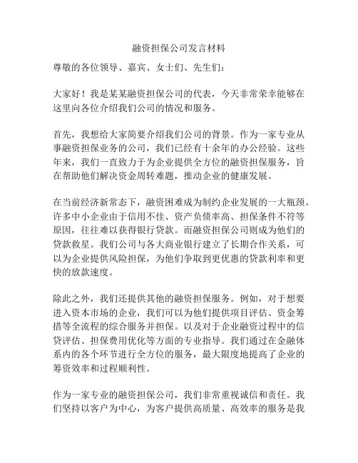 融资担保公司发言材料