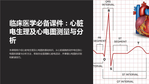 临床医学必备课件：心脏电生理及心电图测量与分析