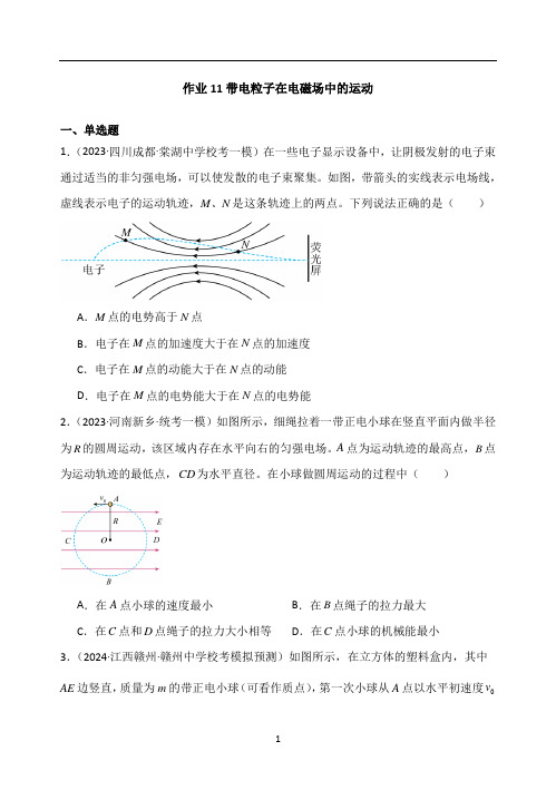 作业11带电粒子在电磁场中的运动