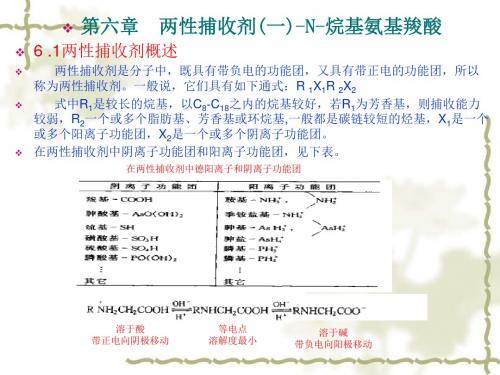浮选药剂化学原理与应用-第六章 两性捕收剂(一)-N-烷基氨基羧酸