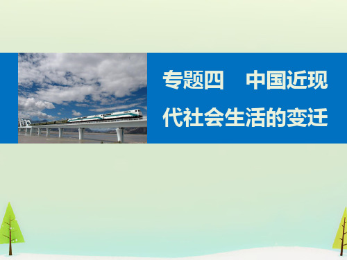 中国近现代社会生活的变迁PPT课件16 人民版