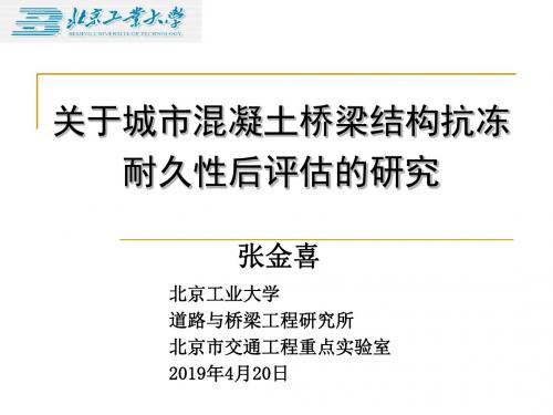 混凝土桥梁结构抗冻耐久性后评估 共43页