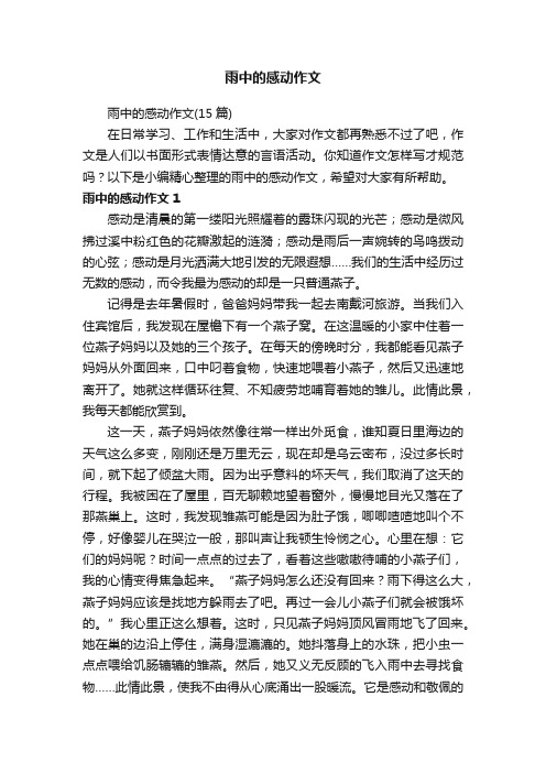 雨中的感动作文