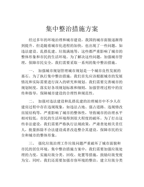 集中整治措施方案