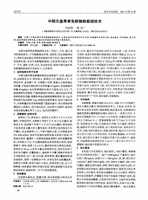 中稻无盘旱育免耕抛秧栽培技术