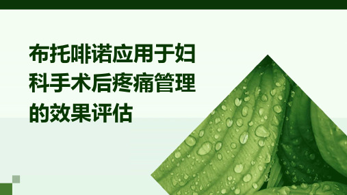 布托啡诺应用于妇科手术后疼痛管理的效果评估