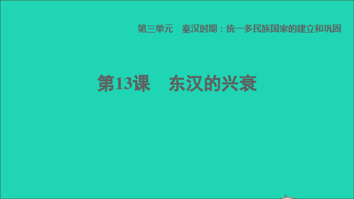 七年级历史上册第3单元秦汉时期：统一多民族国家的建立和巩固第13课东汉的兴衰习题新人教版